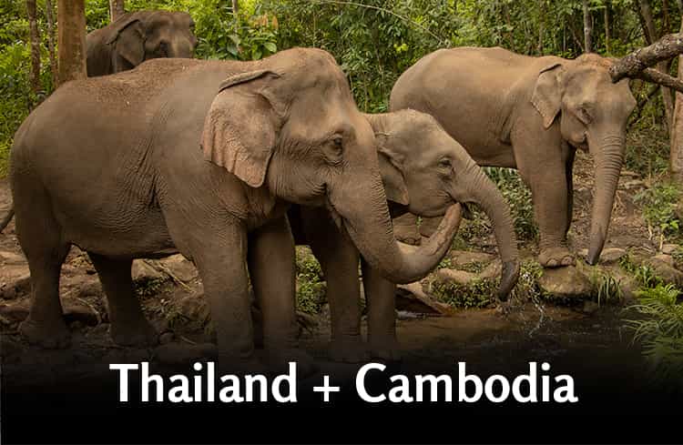 Thailand + Cambodia